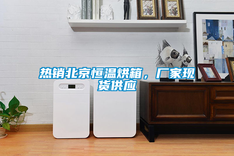 熱銷(xiāo)北京恒溫烘箱，廠(chǎng)家現貨供應