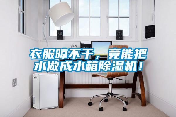 衣服晾不干，竟能把水做成水箱除濕機！