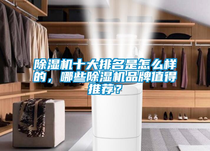 除濕機十大排名是怎么樣的，哪些除濕機品牌值得推薦？