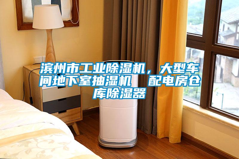 濱州市工業(yè)除濕機，大型車(chē)間地下室抽濕機  配電房倉庫除濕器