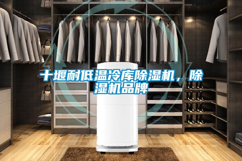 十堰耐低溫冷庫除濕機，除濕機品牌