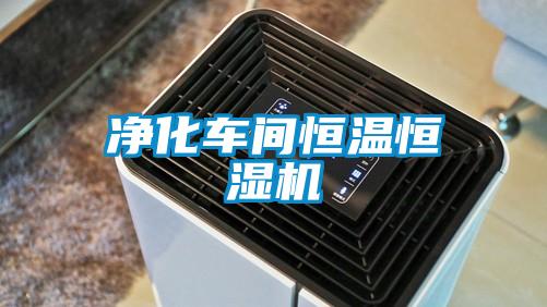 凈化車(chē)間恒溫恒濕機