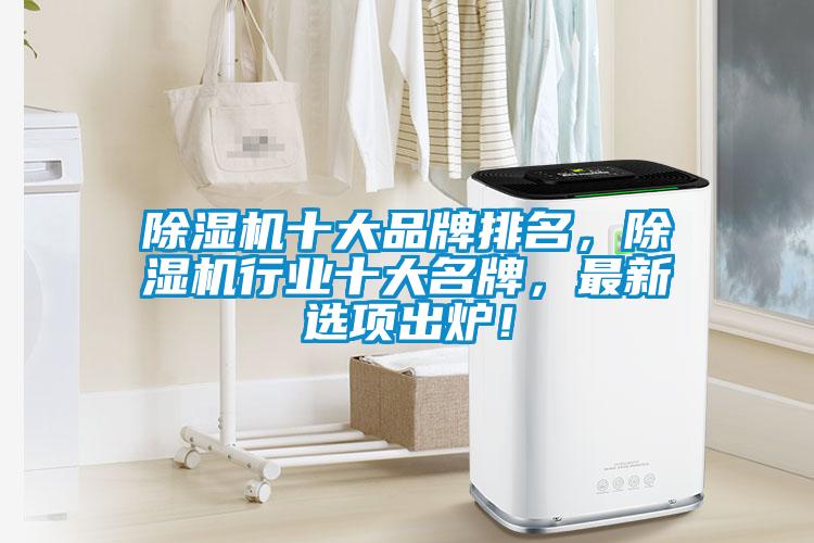 除濕機十大品牌排名，除濕機行業(yè)十大名牌，最新選項出爐！