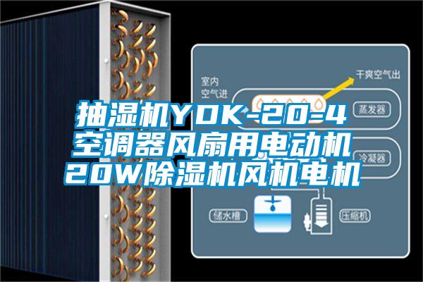 抽濕機YDK-20-4空調器風(fēng)扇用電動(dòng)機20W除濕機風(fēng)機電機