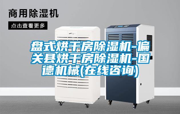 盤(pán)式烘干房除濕機-偏關(guān)縣烘干房除濕機-國德機械(在線(xiàn)咨詢(xún))