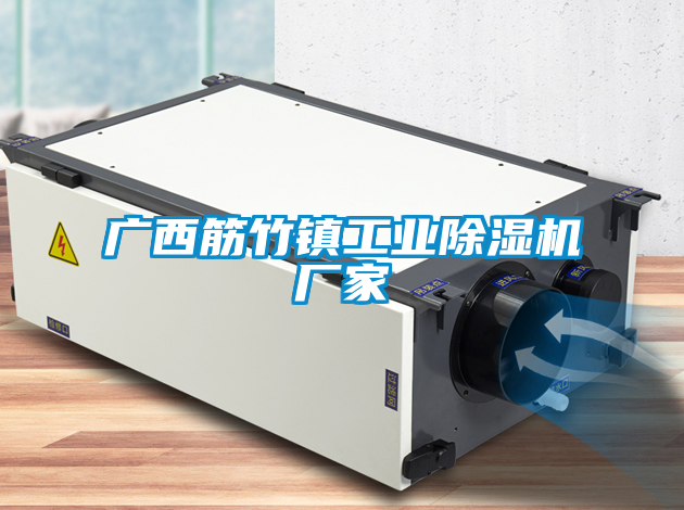 廣西筋竹鎮工業(yè)除濕機廠(chǎng)家