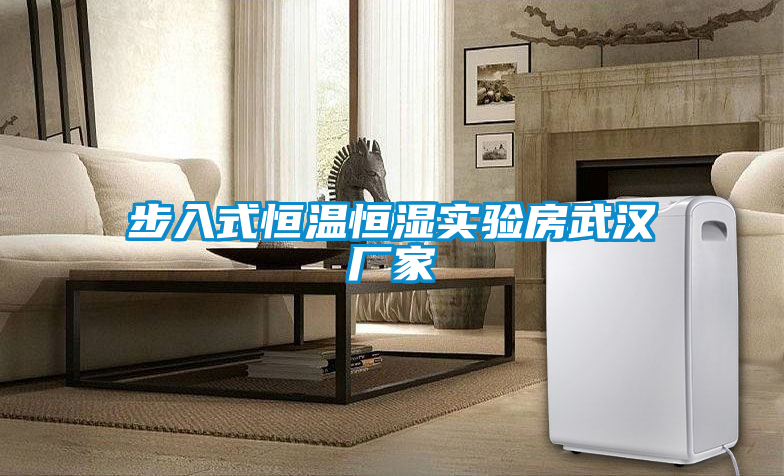 步入式恒溫恒濕實(shí)驗房武漢廠(chǎng)家