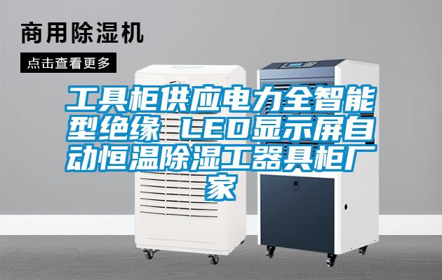 工具柜供應電力全智能型絕緣 LED顯示屏自動(dòng)恒溫除濕工器具柜廠(chǎng)家