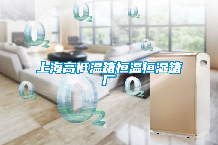 上海高低溫箱恒溫恒濕箱廠(chǎng)