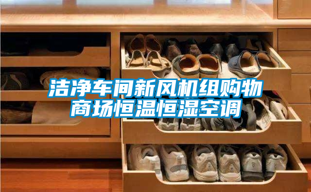 潔凈車(chē)間新風(fēng)機組購物商場(chǎng)恒溫恒濕空調
