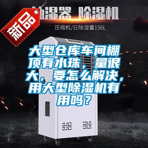 大型倉庫車(chē)間棚頂有水珠，量很大，要怎么解決，用大型除濕機有用嗎？