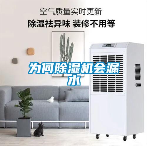 為何除濕機會(huì )漏水
