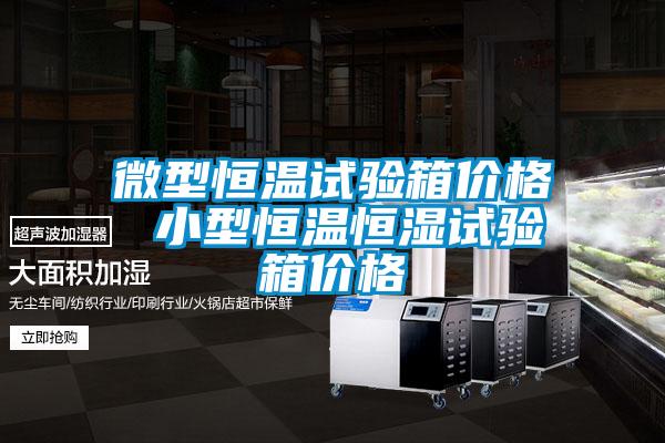 微型恒溫試驗箱價(jià)格 小型恒溫恒濕試驗箱價(jià)格
