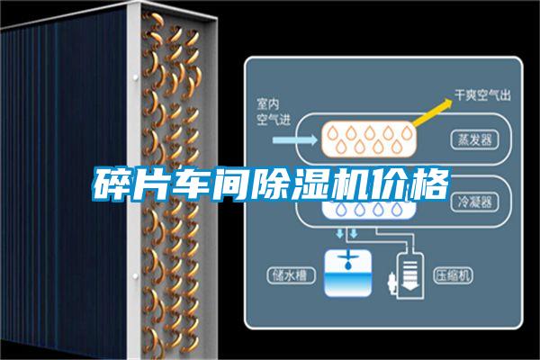 碎片車(chē)間除濕機價(jià)格