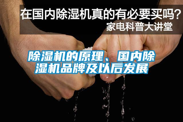 除濕機的原理、國內除濕機品牌及以后發(fā)展