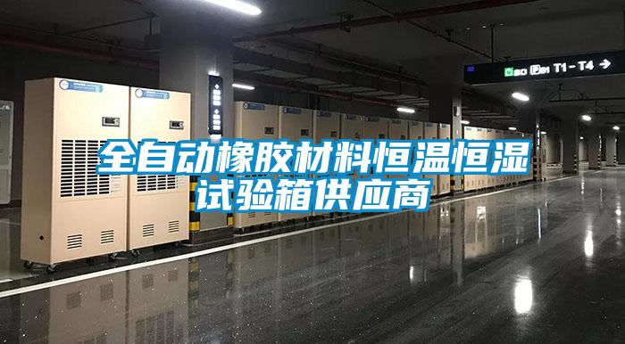 全自動(dòng)橡膠材料恒溫恒濕試驗箱供應商