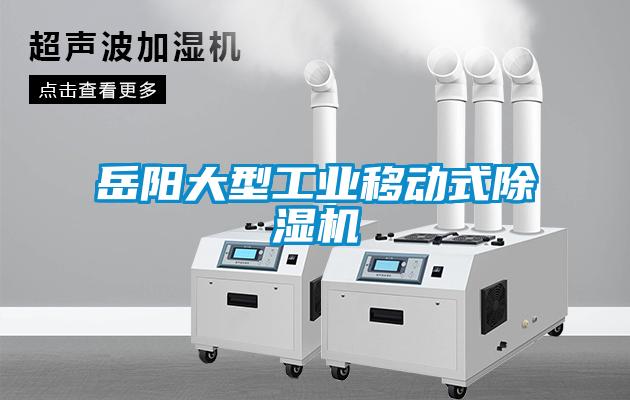 岳陽(yáng)大型工業(yè)移動(dòng)式除濕機