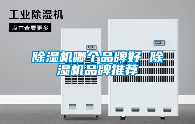 除濕機哪個(gè)品牌好 除濕機品牌推薦