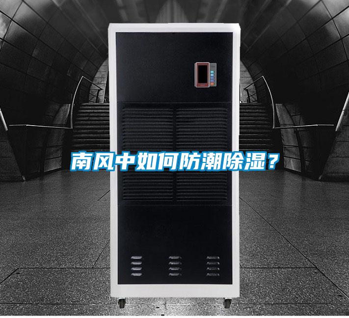 南風(fēng)中如何防潮除濕？