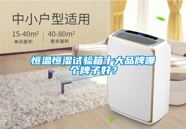 恒溫恒濕試驗箱十大品牌哪個(gè)牌子好？