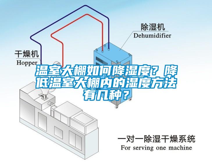 溫室大棚如何降濕度？降低溫室大棚內的濕度方法有幾種？