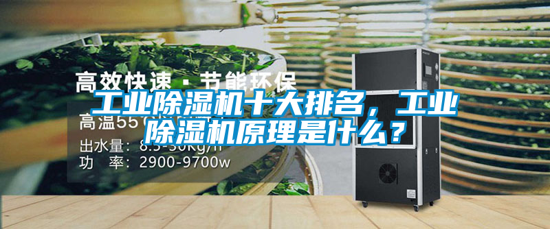 工業(yè)除濕機十大排名，工業(yè)除濕機原理是什么？