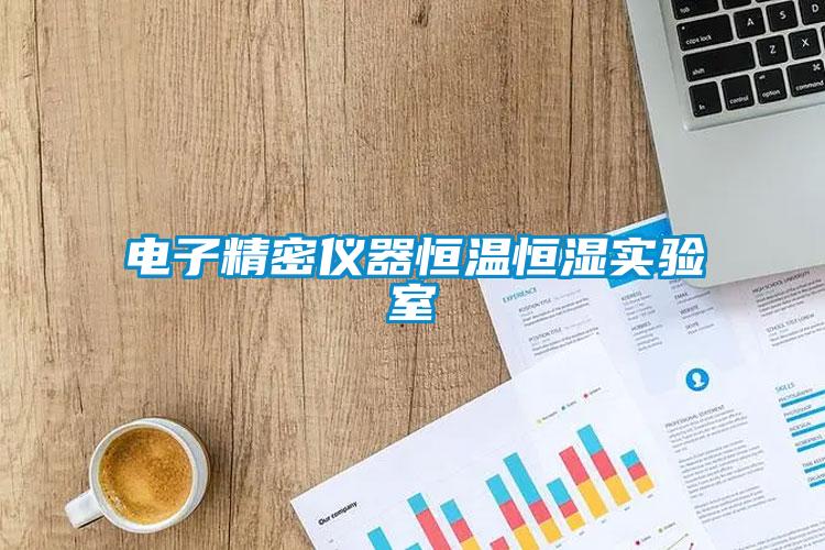 電子精密儀器恒溫恒濕實(shí)驗室