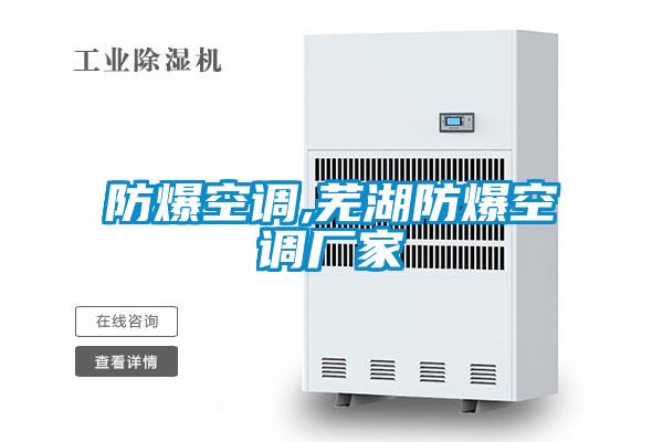 防爆空調,蕪湖防爆空調廠(chǎng)家