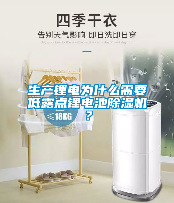 生產(chǎn)鋰電為什么需要低露點(diǎn)鋰電池除濕機？