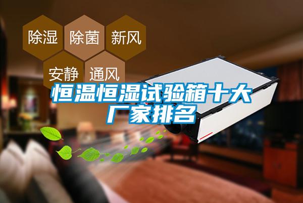 恒溫恒濕試驗箱十大廠(chǎng)家排名