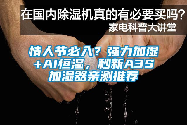 情人節必入？強力加濕+AI恒濕，秒新A3S加濕器親測推薦