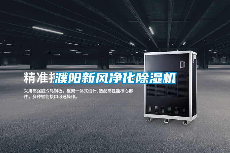 濮陽(yáng)新風(fēng)凈化除濕機