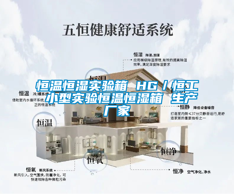 恒溫恒濕實(shí)驗箱 HG／恒工 小型實(shí)驗恒溫恒濕箱 生產(chǎn)廠(chǎng)家