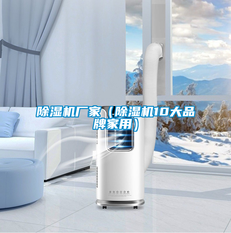 除濕機廠(chǎng)家（除濕機10大品牌家用）