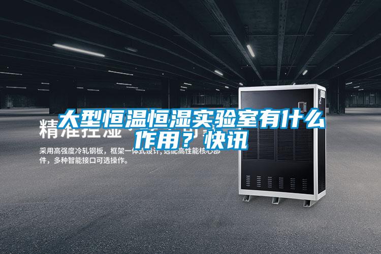大型恒溫恒濕實(shí)驗室有什么作用？快訊