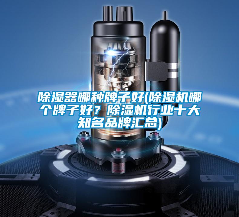除濕器哪種牌子好(除濕機哪個(gè)牌子好？除濕機行業(yè)十大知名品牌匯總)