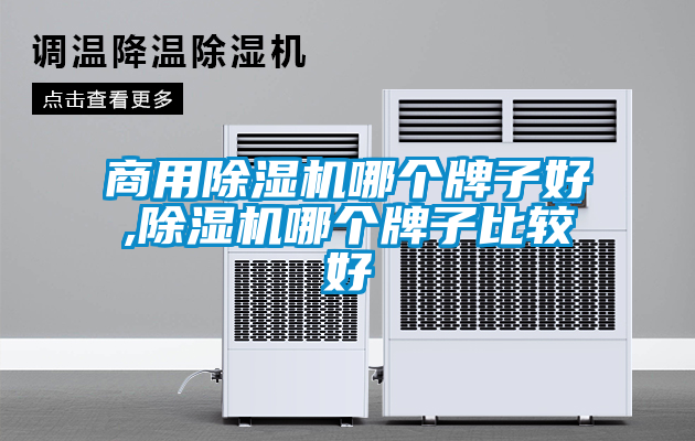 商用除濕機哪個(gè)牌子好,除濕機哪個(gè)牌子比較好