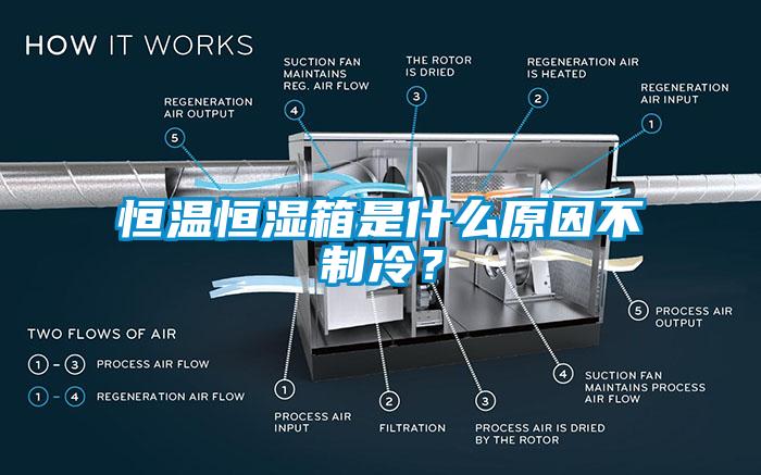 恒溫恒濕箱是什么原因不制冷？