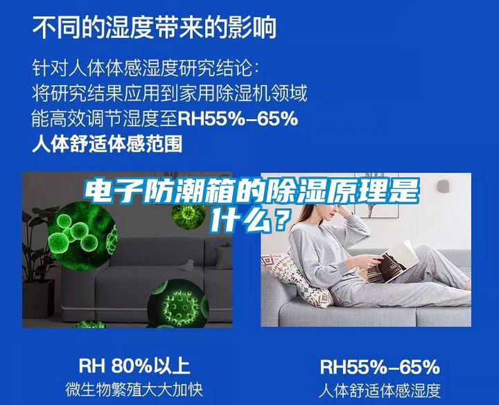 電子防潮箱的除濕原理是什么？