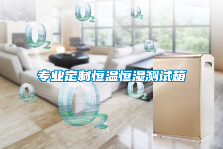 專(zhuān)業(yè)定制恒溫恒濕測試箱