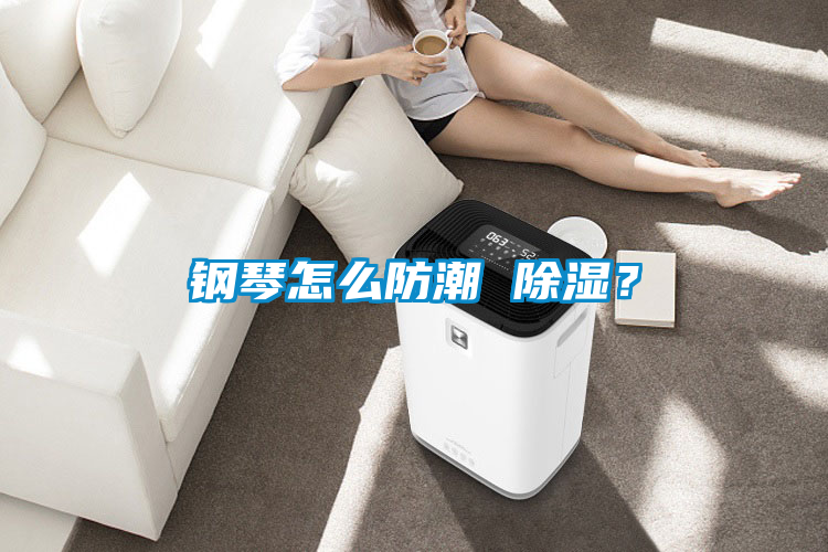 鋼琴怎么防潮 除濕？