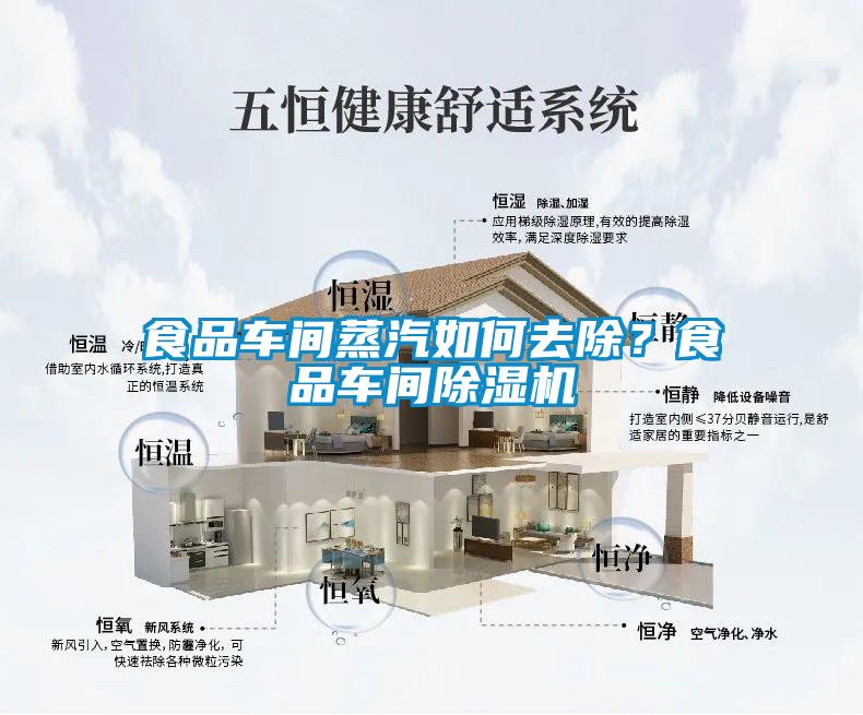 食品車(chē)間蒸汽如何去除？食品車(chē)間除濕機