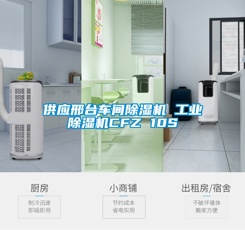 供應邢臺車(chē)間除濕機 工業(yè)除濕機CFZ 10S