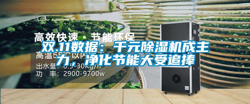 雙.11數據：千元除濕機成主力，凈化節能大受追捧