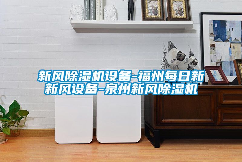 新風(fēng)除濕機設備-福州每日新新風(fēng)設備-泉州新風(fēng)除濕機
