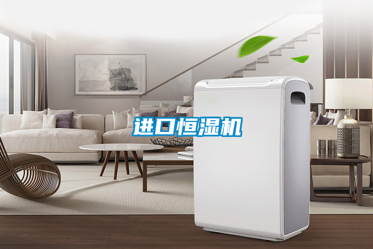 進(jìn)口恒濕機