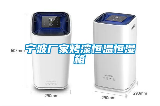 寧波廠(chǎng)家烤漆恒溫恒濕箱
