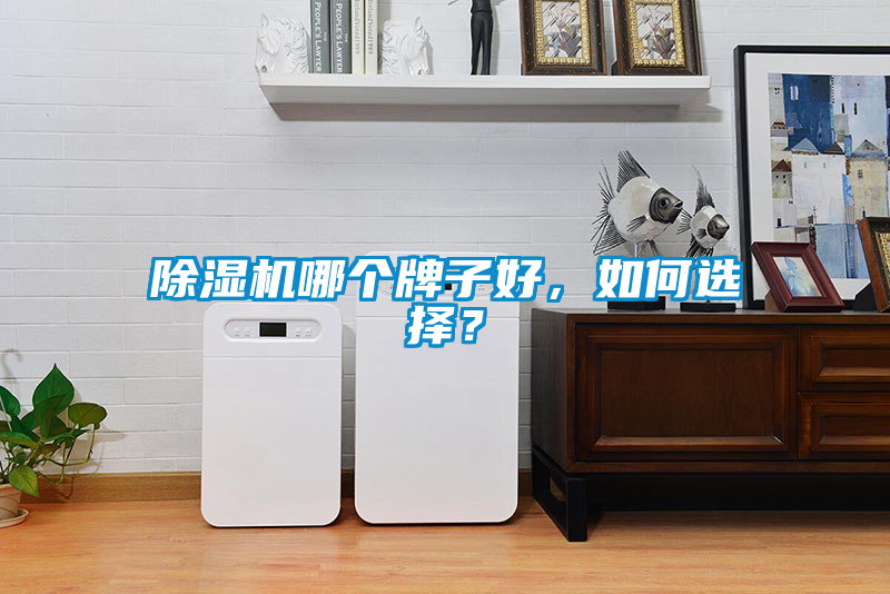 除濕機哪個(gè)牌子好，如何選擇？