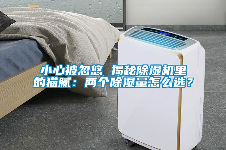 小心被忽悠 揭秘除濕機里的貓膩：兩個(gè)除濕量怎么選？