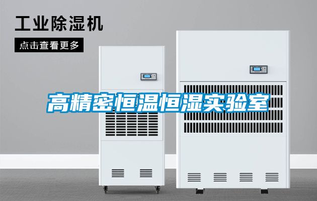 高精密恒溫恒濕實(shí)驗室